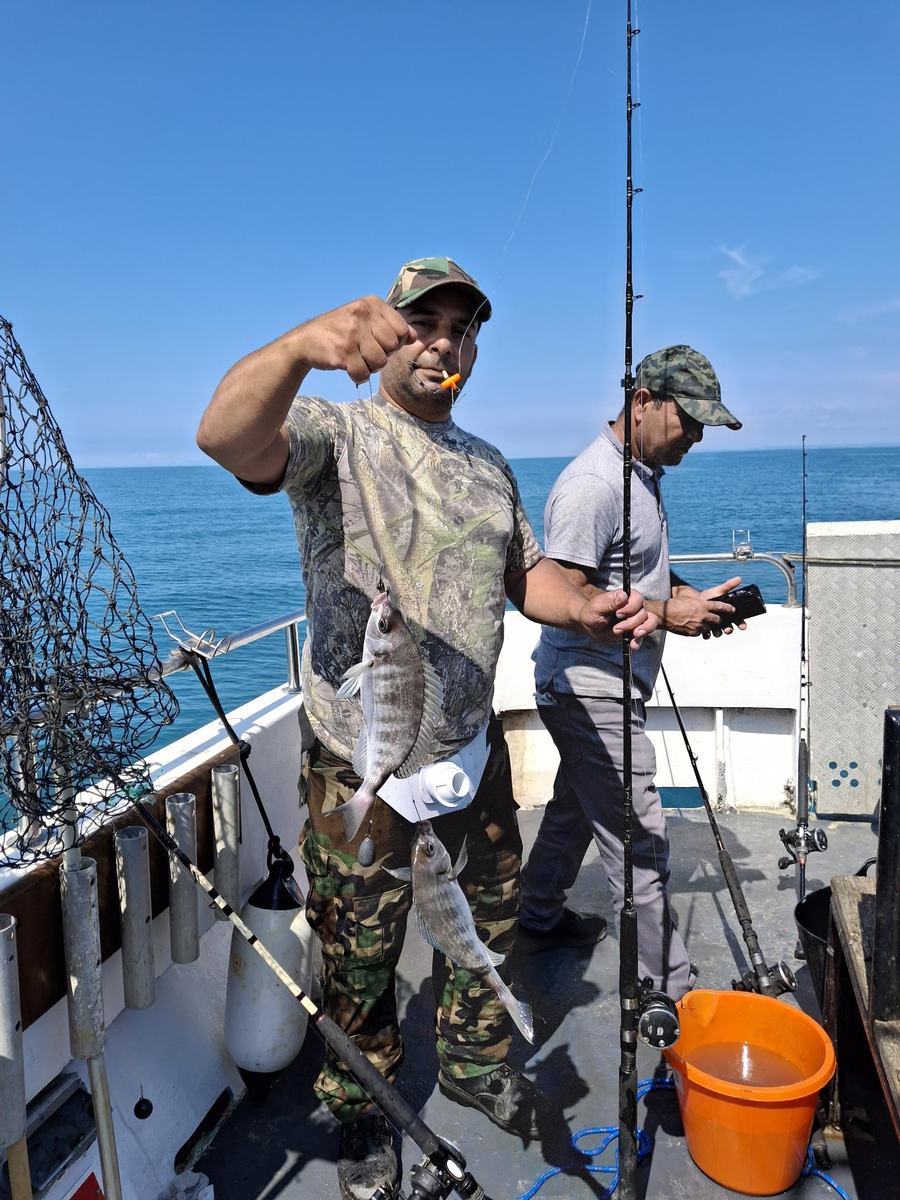 Angler with multiple bream catch on deck