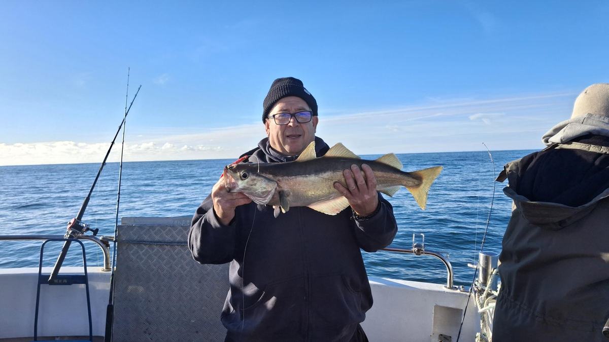 Angler with coalfish caught in the English Channel