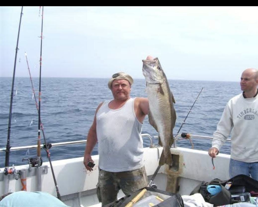 Angler holding large pollack on offshore charter trip